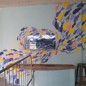 Aquarium Entrance - Small Reef Tank