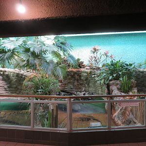 Crocodilian Grottos