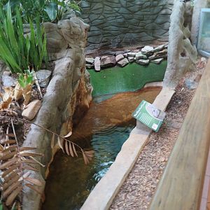 Dwarf Crocodile Grotto