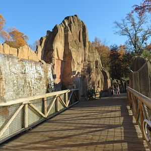 Teton Trek - Bridge Overlooking Bears