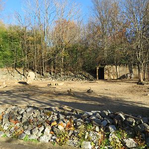 Mixed Hoofstock Yard