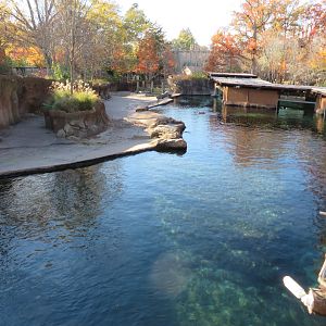 River Hippo Exhibit