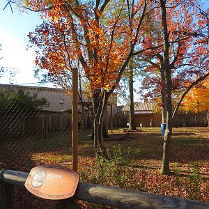 Mixed Hoofstock/Bird Yard (4 spp)