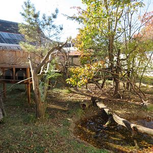 CHINA Red Panda Exhibit