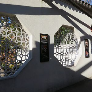 CHINA Red Panda Exhibit