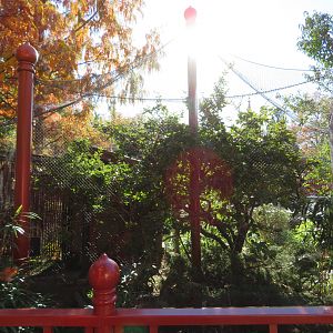 Mixed East Asian Aviary