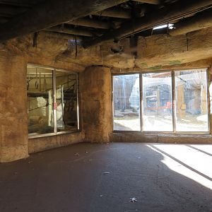 Bonobos - Only Viewing Area