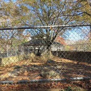 Crested Porcupine Exhibit