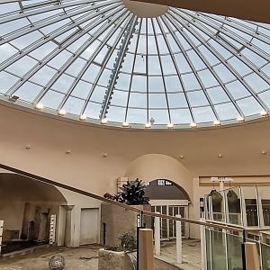 Elephant House interior