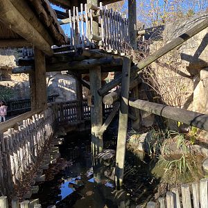 Alligator Snapping Turtle Moat