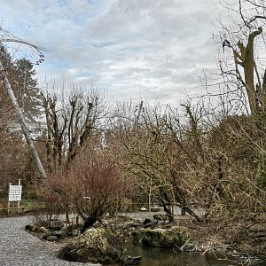 The Big Walkthrough Aviary