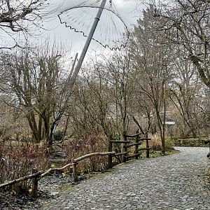 The Big Walkthrough Aviary