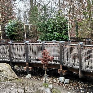 Alps  Hare/Arctic Fox exhibit