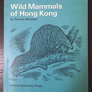 Wild Mammals of Hong Kong