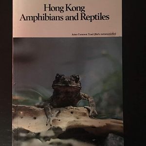 Hong Kong Reptiles and Amphibians