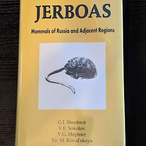 JERBOAS Mammals of Russia and Adjacent Regions