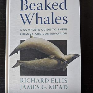 Beaked Whales: A Complete Guide to their Biology and Conservation