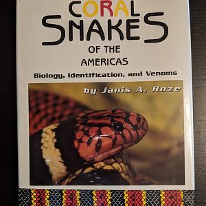Coral Snakes of the Americas