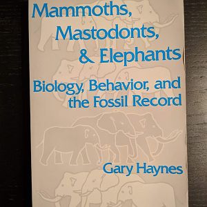 Mammoths, Mastodons, & Elephants