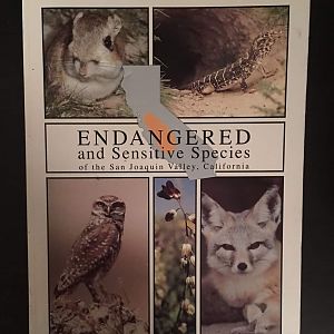 Endangered and Senstive Species of the San Joaquin Valley, California