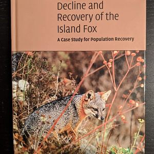 Ecology, Biodiversity, and Conservation   Decline of the Island fox  A case study for population recovery
