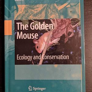 The Golden Mouse: Ecology and Conservation