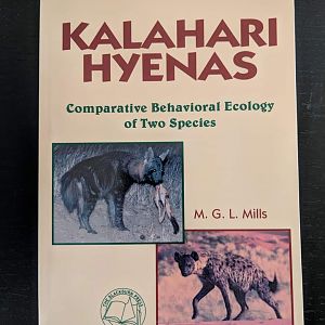 Kalahari Hyenas   Comparative Behavioral Ecology of Two Species  By M.G.L. Mills