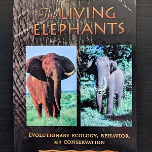 The Living Elephants  Evolutionary Ecology, Behaviour, and Conservation