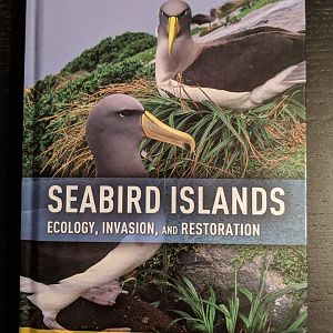 Seabird Islands: Ecology, Invasion, and Restoration