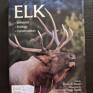 Elk