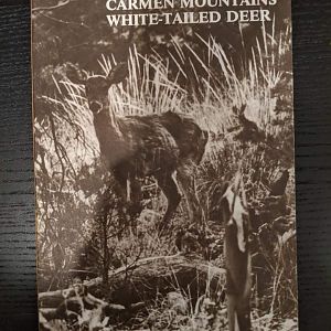 Ecology of the Carmen Mountains White tailed deer