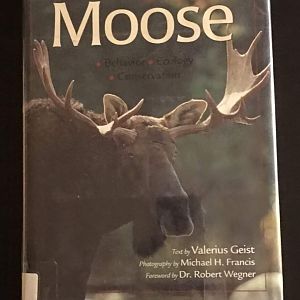 Moose