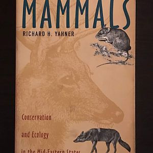Fascinating Mammals  Conservation and Ecology in the Mid-Eastern States