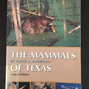 The Mammals of Texas