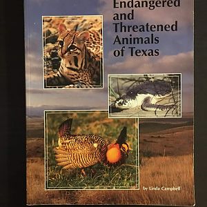 Endangered and Threatened Animals of Texas