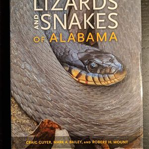 Lizards and Snakes of Alabama