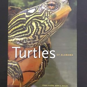 Turtles of Alabama