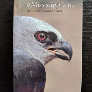 The Mississippi Kite