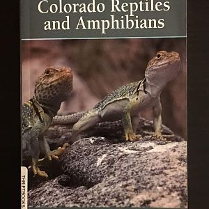 The Guide to Colorado Reptiles and Amphibians