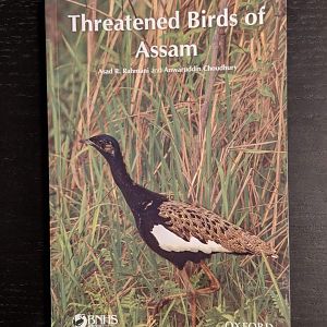 Threatened Birds of Assam