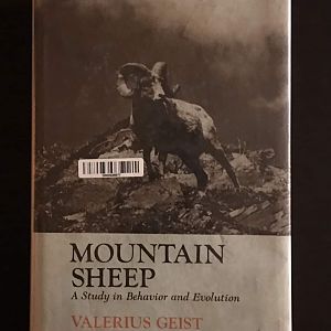 Mountain Sheep A Study in Behvaiour and Evolution