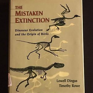 The Mistaken Extinction  Dinosaur Evolution and the Origin of Birds