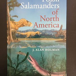 Fossil Salamanders of North America