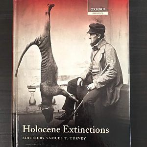 Holocene Extinctions