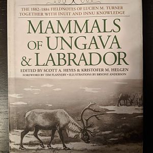 Mammals of Ungava & Labrador