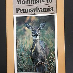 Guide to the Mammals of Pennsylvania