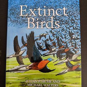 Extinct Birds