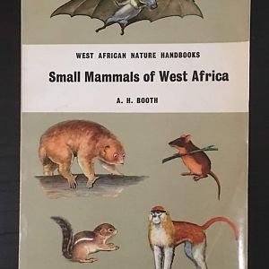 Small Mammals of West Africa