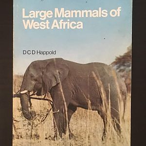 Large Mammals of West Africa