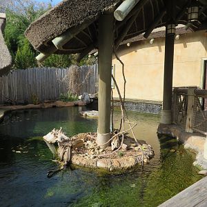 Entry Plaza - Catfish Pond